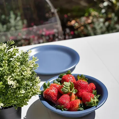 Clima-netflix-wifi-garage - Garden * Rome